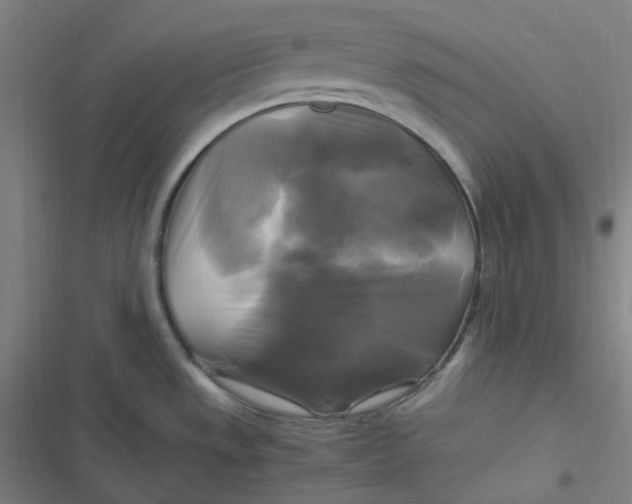 X0000116801533201001081324