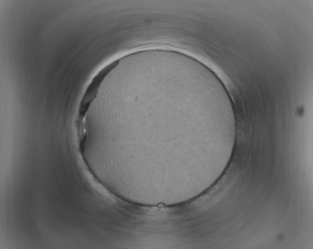 X0000116801534201001081324