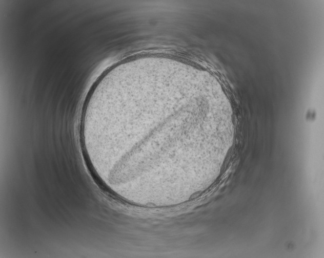 X0000116800003201001151132