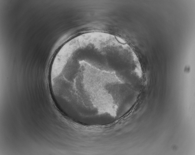 X0000116800004201001151132