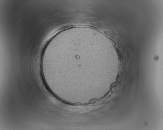X0000116800005201001151132