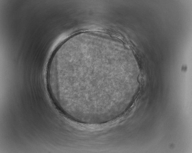 X0000116800006201001151132