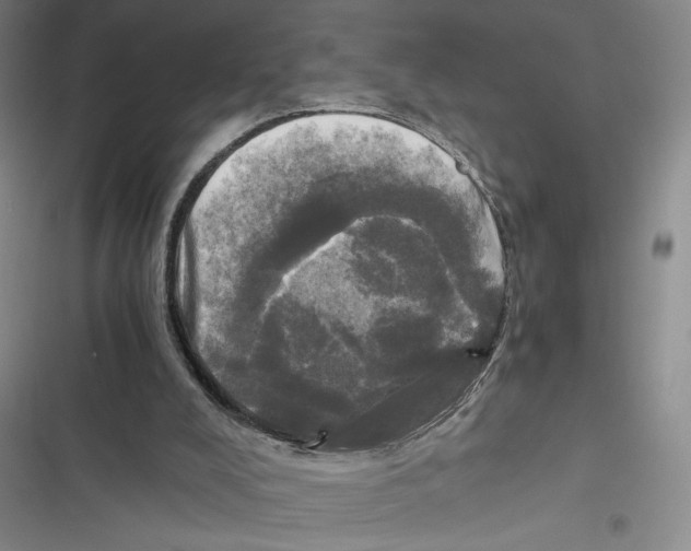 X0000116800008201001151132