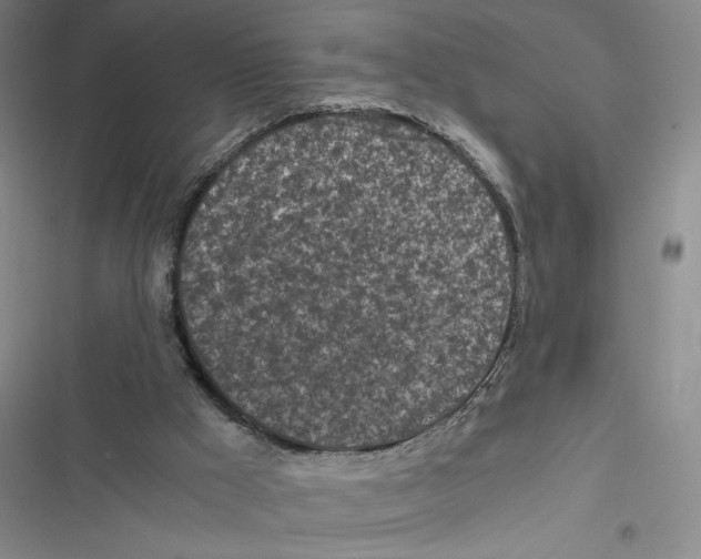 X0000116800009201001151132