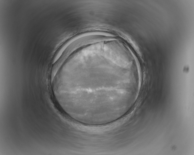 X0000116800010201001151132