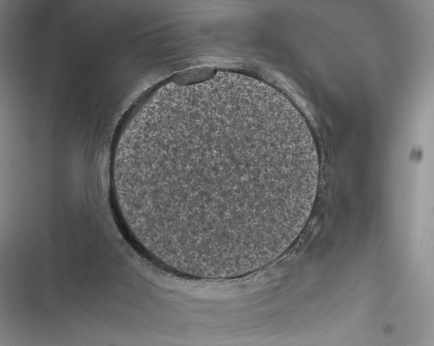 X0000116800011201001151132