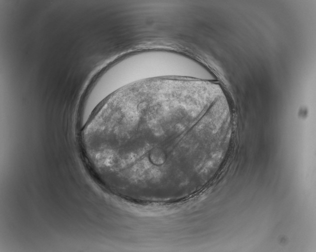 X0000116800012201001151132