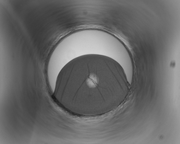 X0000116800013201001151132