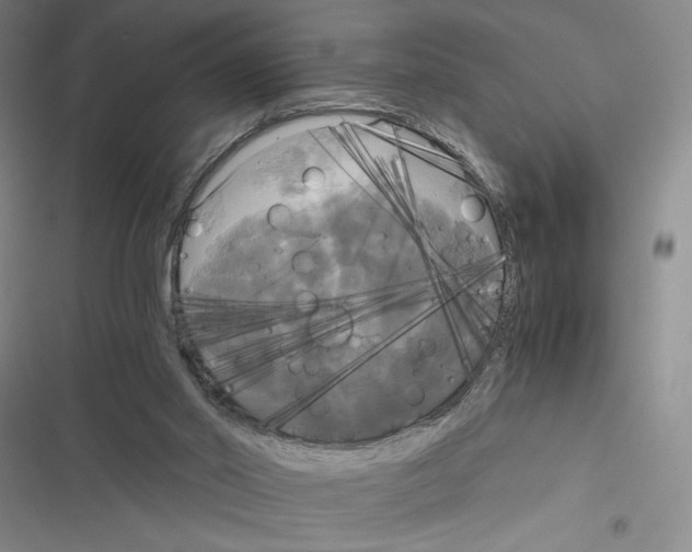 X0000116800014201001151132