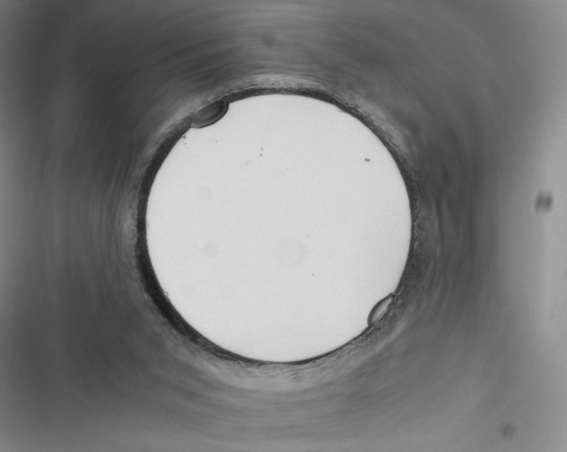 X0000116800015201001151132