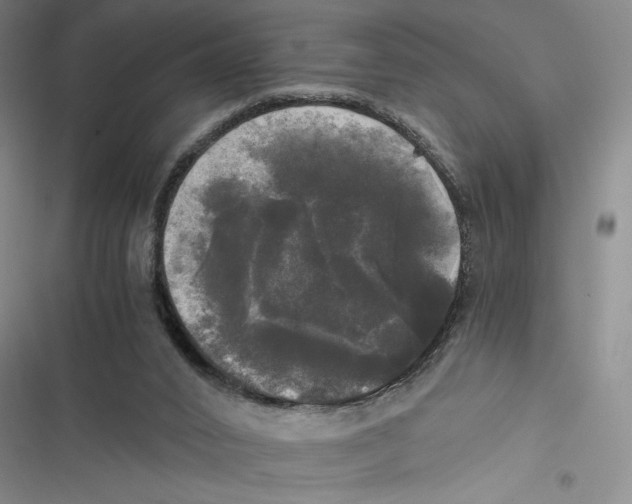 X0000116800016201001151132