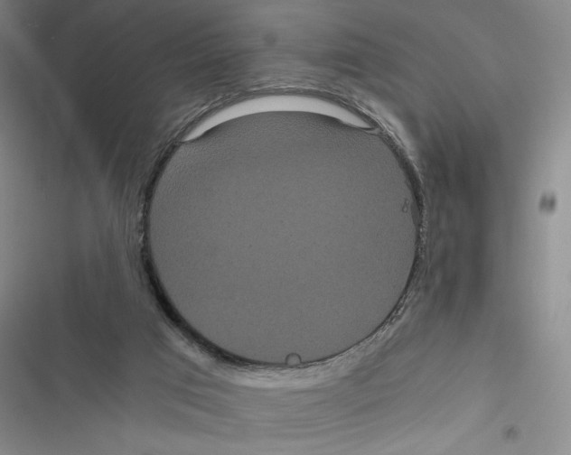 X0000116800017201001151132