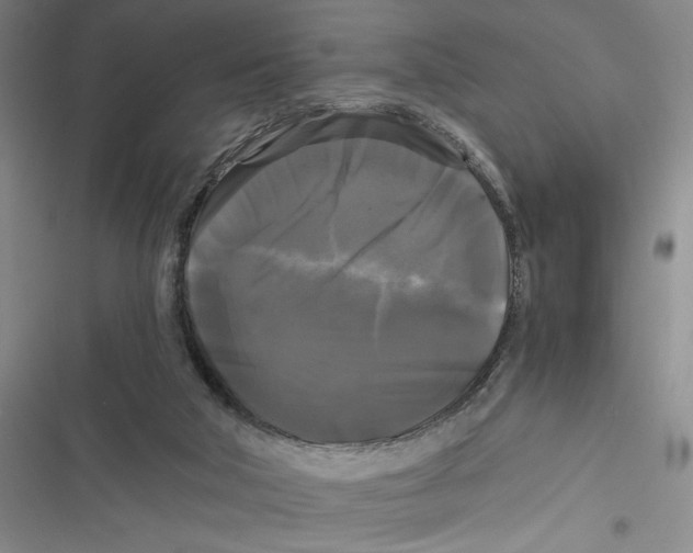 X0000116800018201001151132