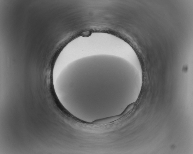 X0000116800019201001151132