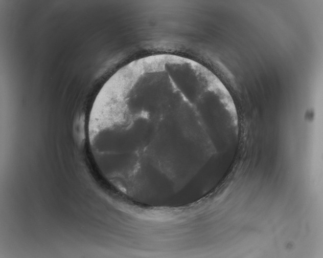 X0000116800020201001151132