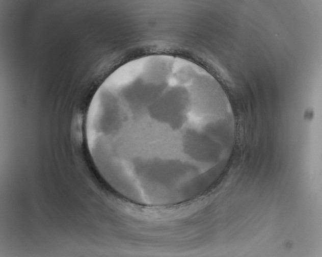 X0000116800022201001151132