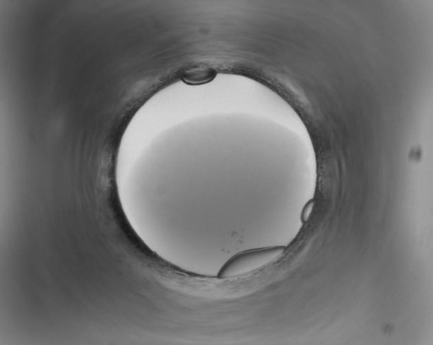X0000116800023201001151132