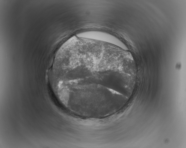 X0000116800024201001151132