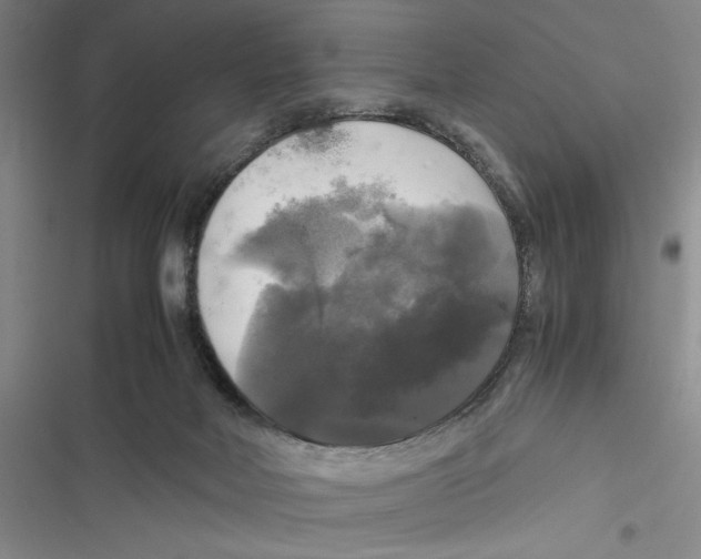 X0000116800026201001151132