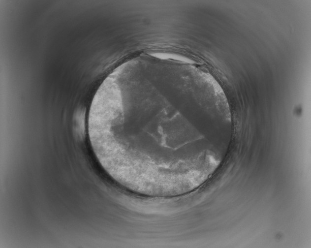 X0000116800028201001151132