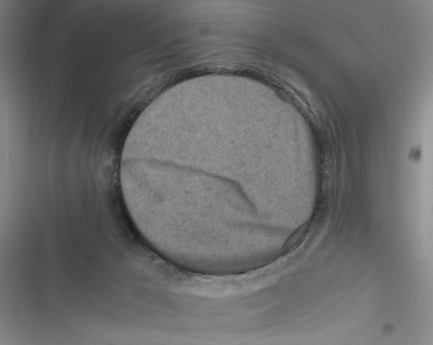 X0000116800029201001151132
