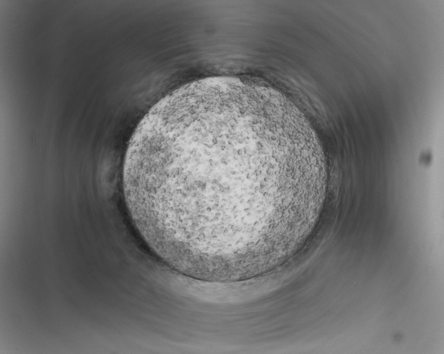 X0000116800030201001151132