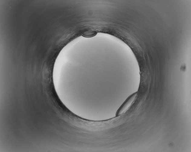 X0000116800031201001151132