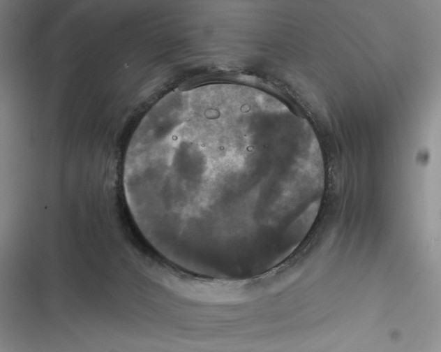 X0000116800032201001151132