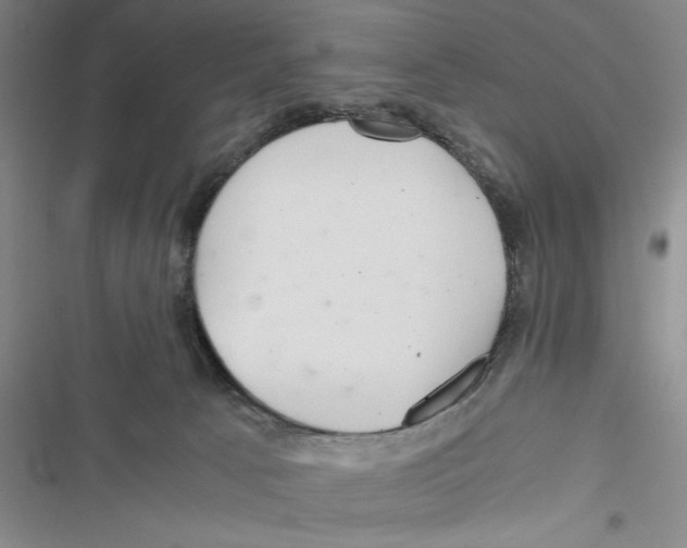 X0000116800033201001151132