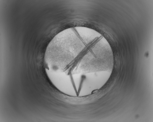 X0000116800034201001151132