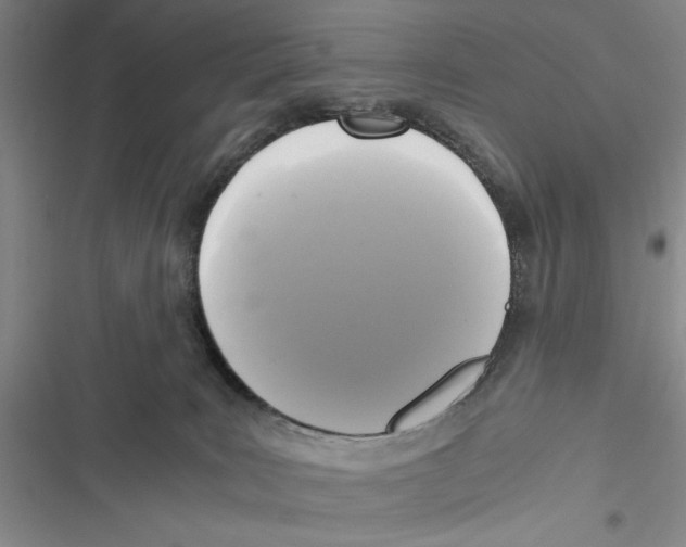 X0000116800035201001151132