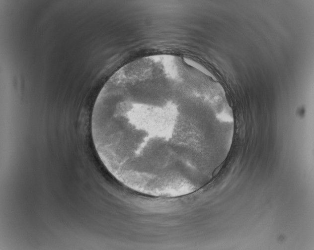 X0000116800036201001151132