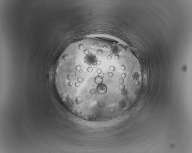 X0000116800038201001151132