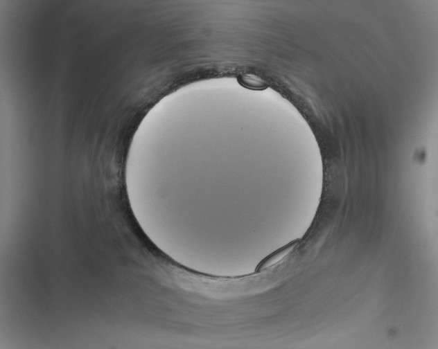 X0000116800039201001151132