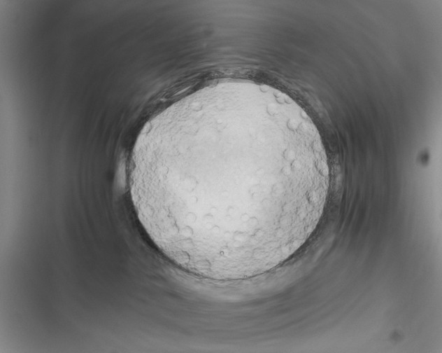X0000116800042201001151132