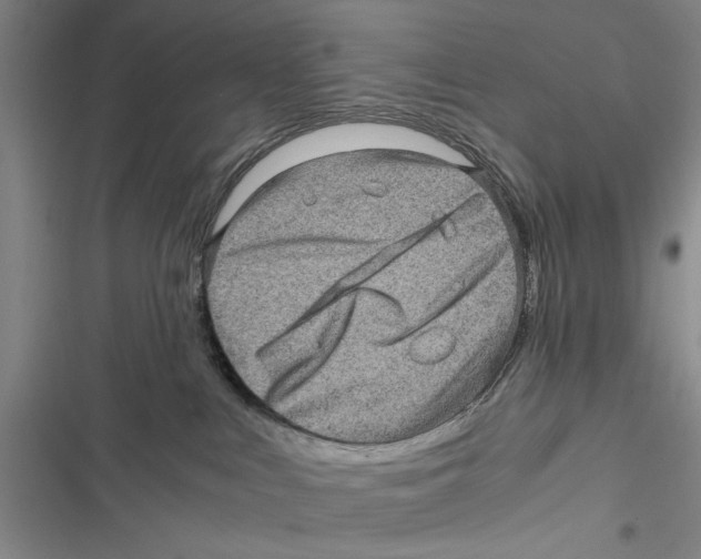 X0000116800043201001151132