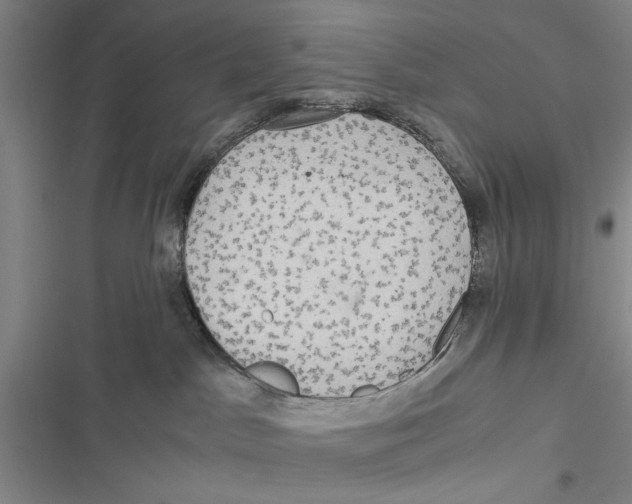 X0000116800045201001151132