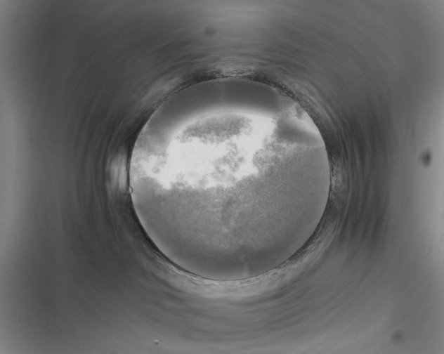 X0000116800046201001151132