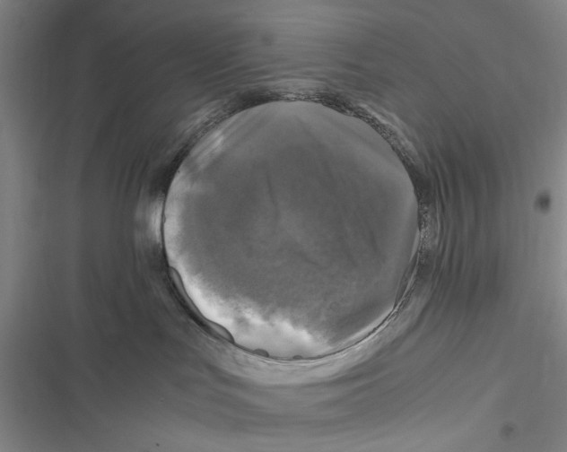 X0000116800047201001151132