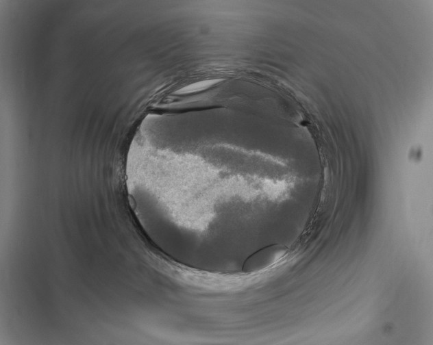 X0000116800048201001151132