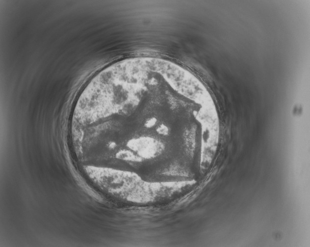 X0000116800049201001151131