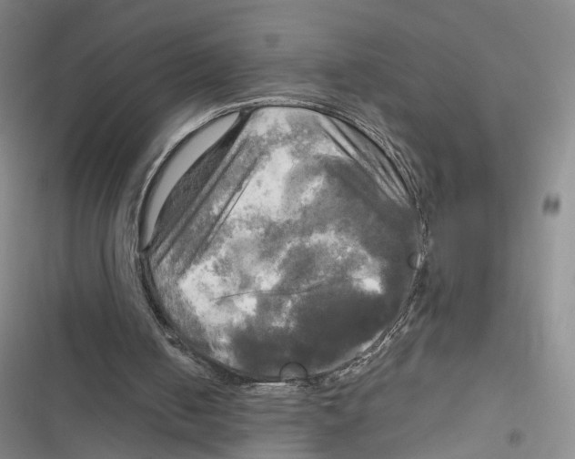 X0000116800050201001151131