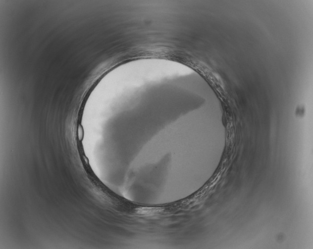 X0000116800051201001151131