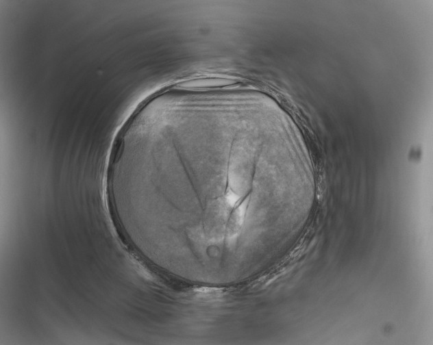 X0000116800052201001151131