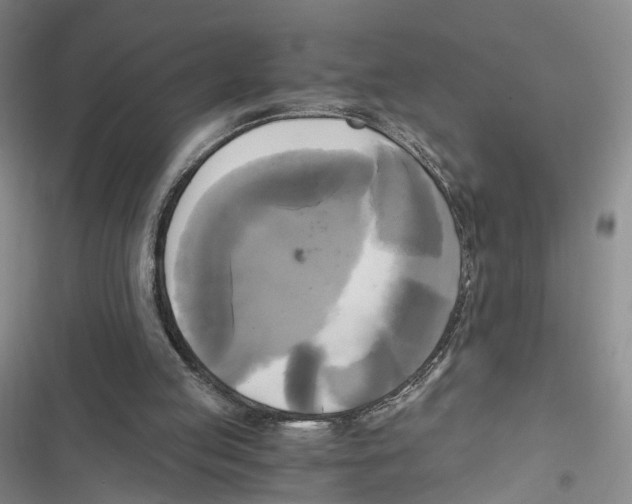 X0000116800053201001151131