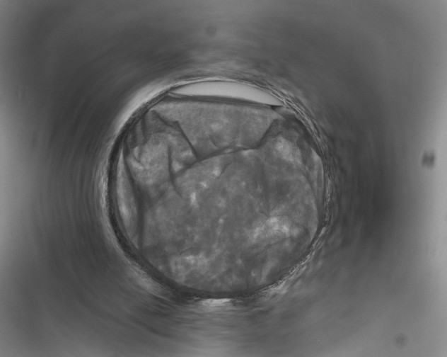 X0000116800054201001151131