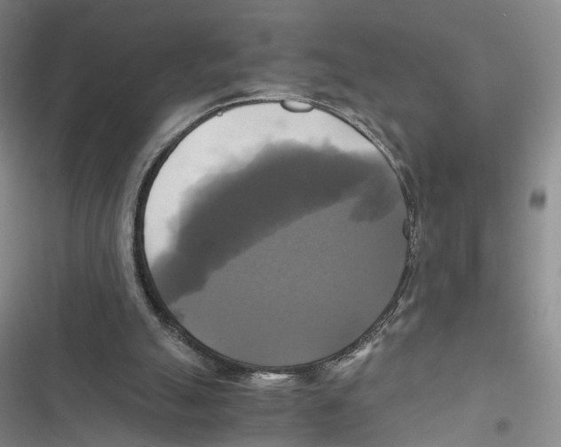 X0000116800055201001151131