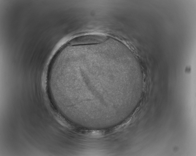 X0000116800056201001151131