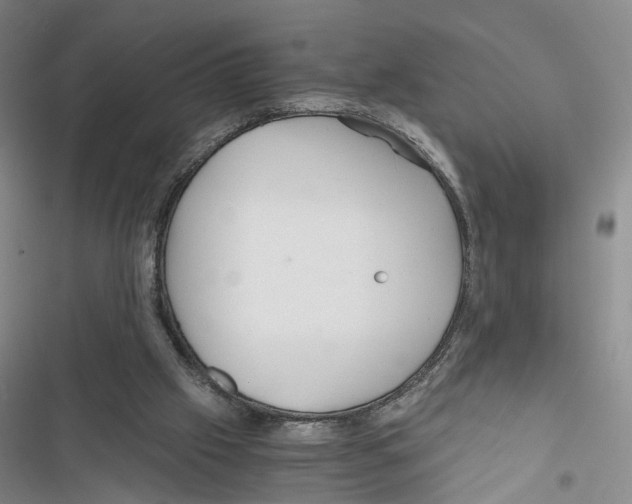 X0000116800057201001151131