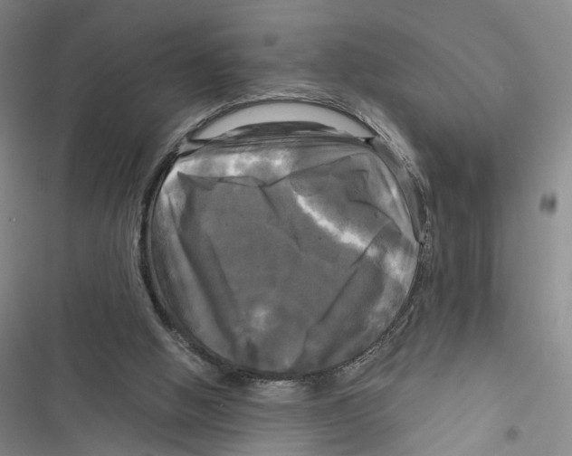 X0000116800058201001151131
